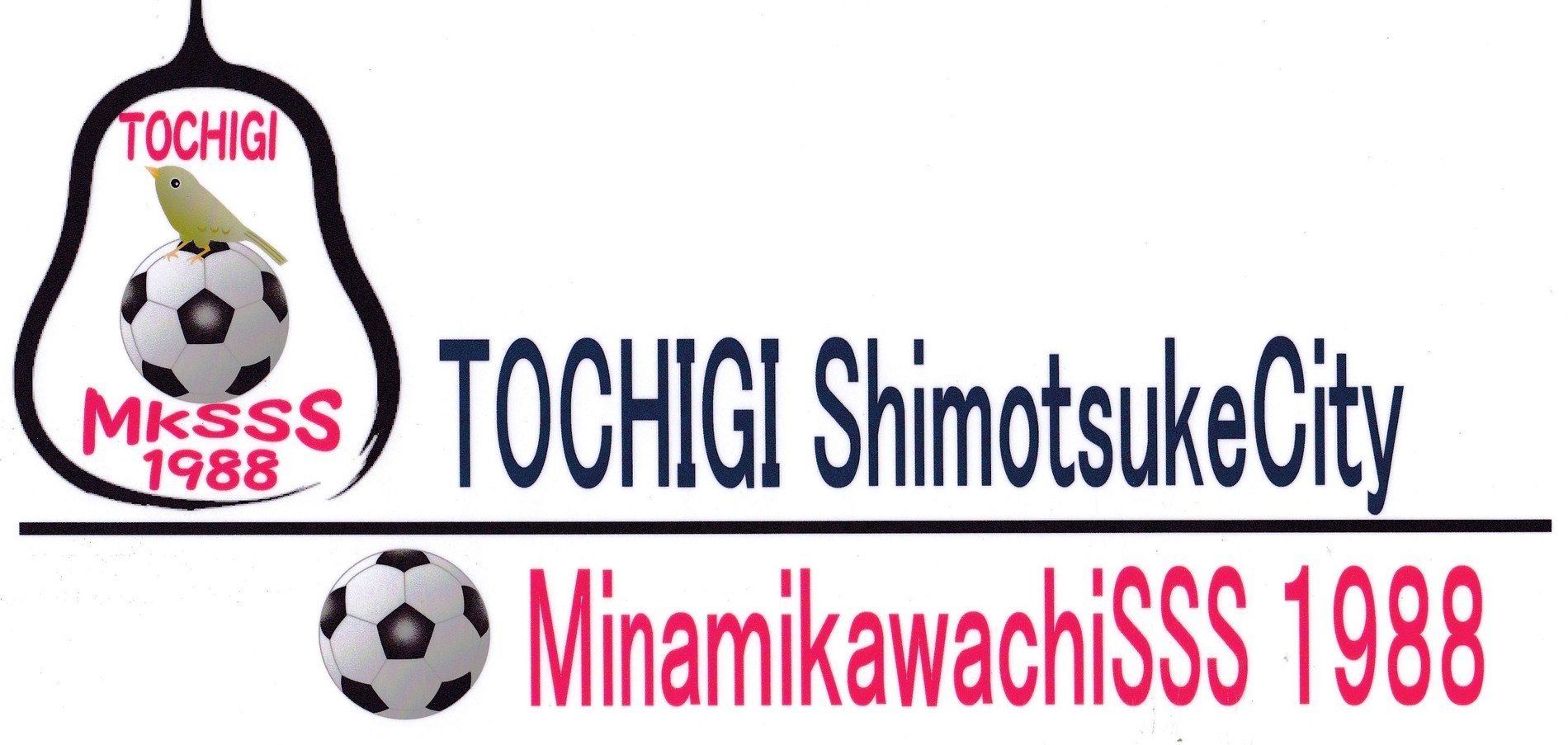 大会連絡 結果 Minamikawachisss Tochigi Shimotsuke City２